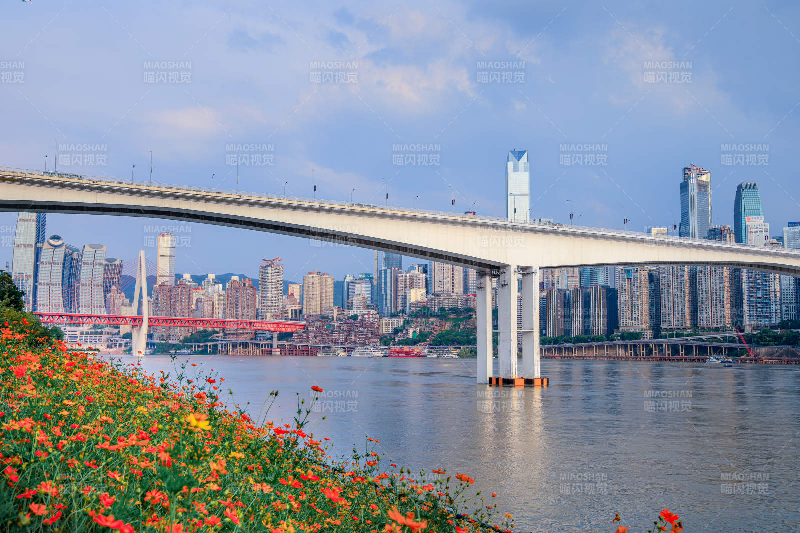 重庆城市江景与大桥风光图片