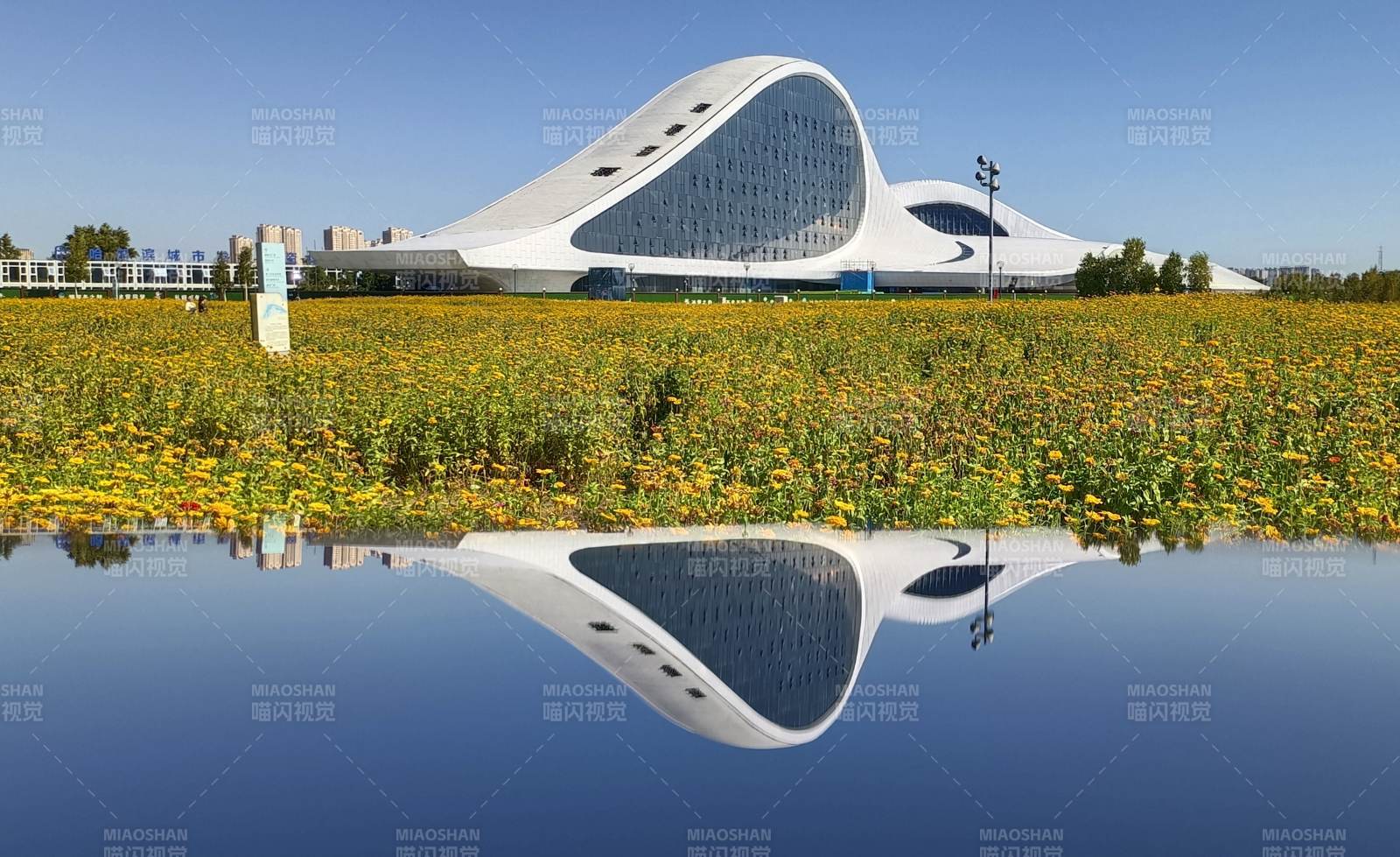 未来建筑与自然的和谐共生图片