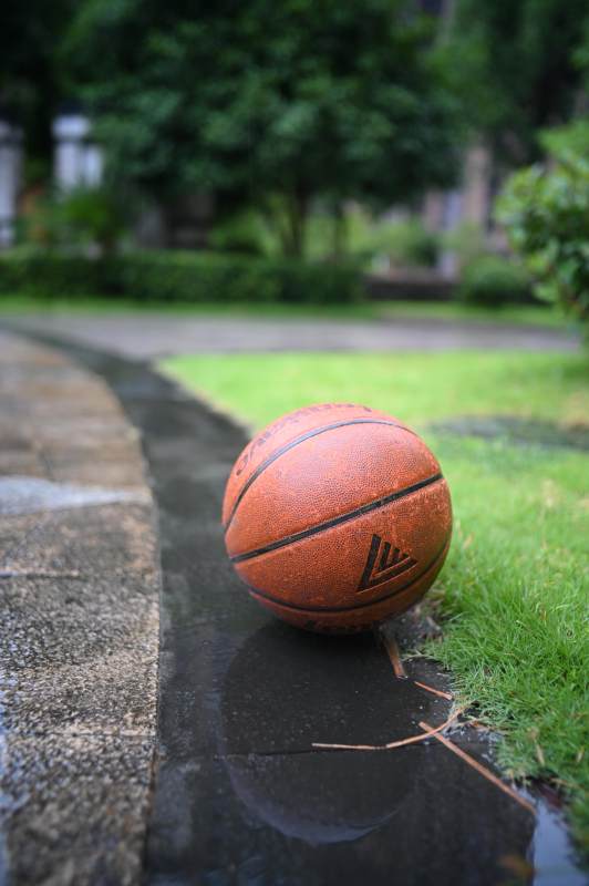 雨后草地上的篮球图片