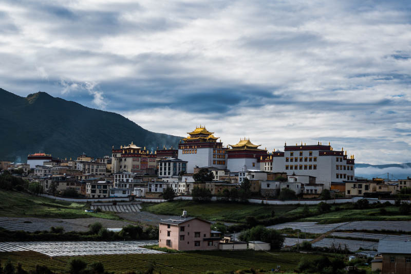 藏式建筑群 田园风光图片