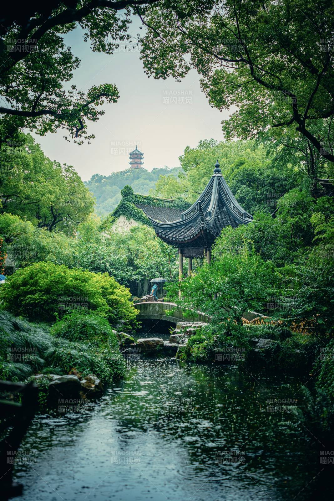 古典园林 绿意盎然图片