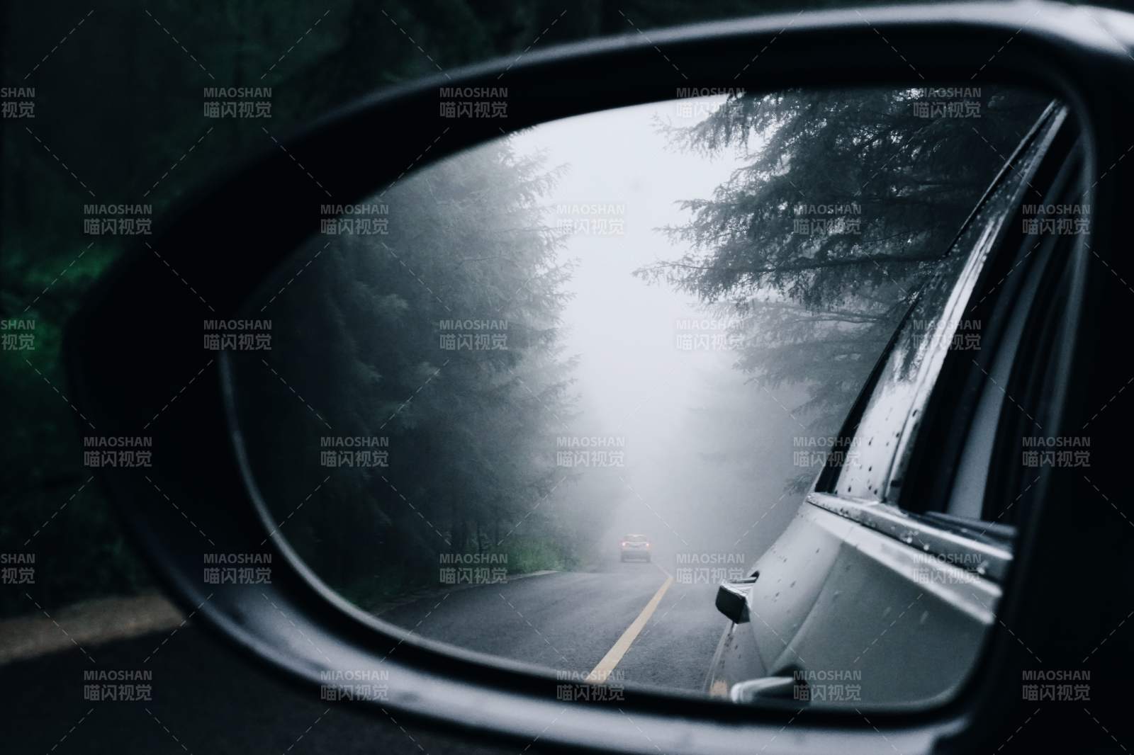 雨中后视镜里的森林路图片