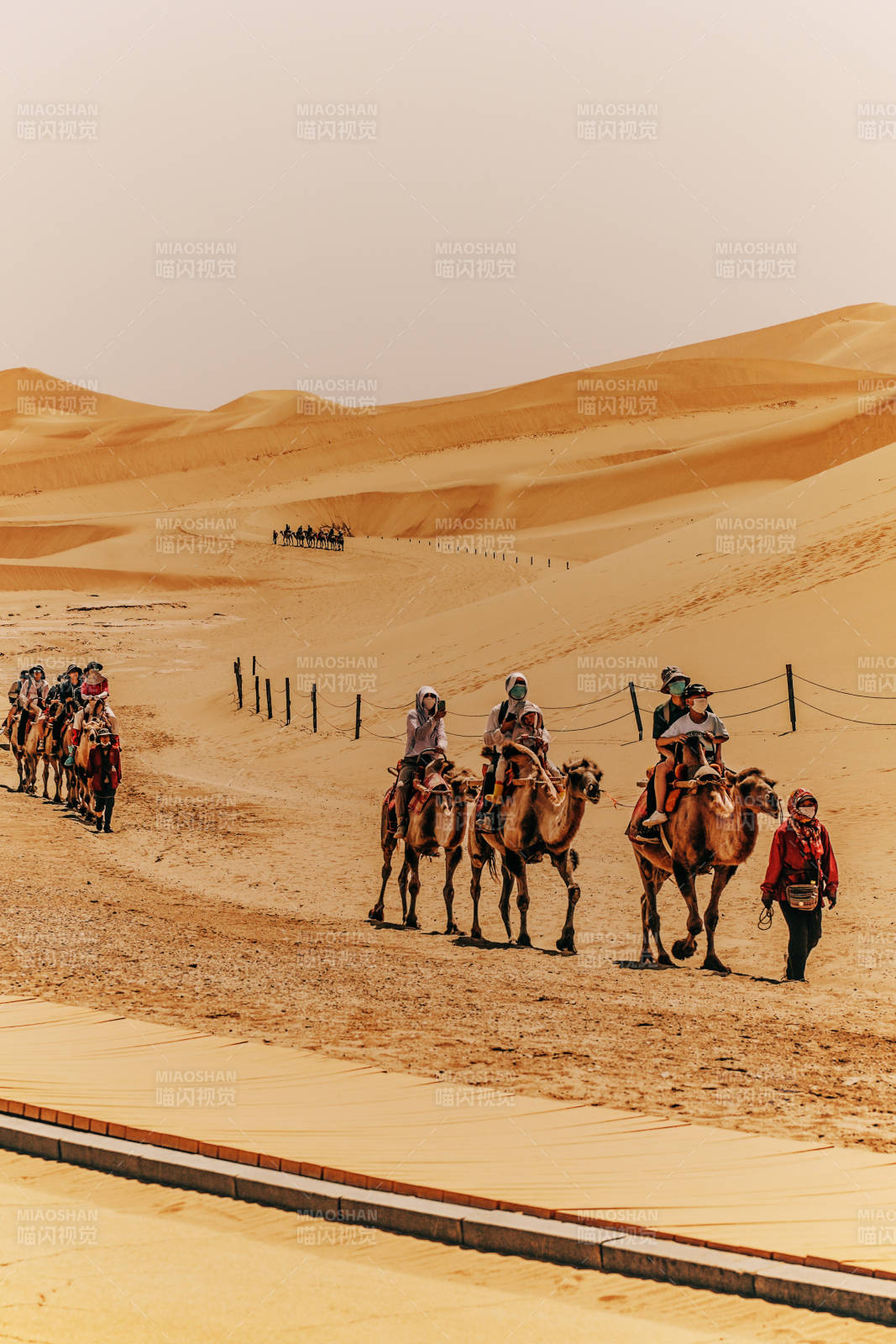 沙漠骆驼队行进图图片