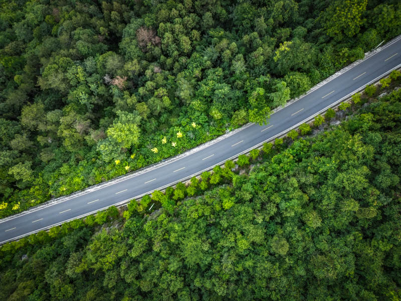 恩施林场中的蜿蜒公路图片