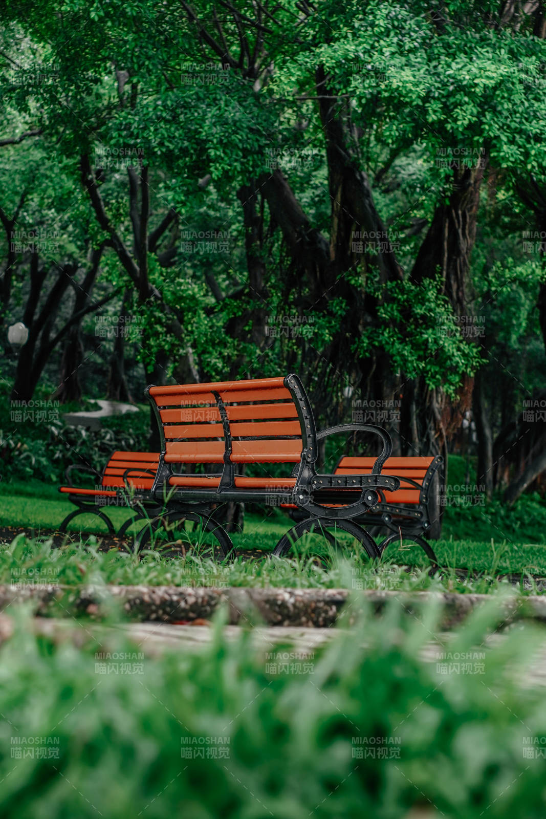 公园里的红色长椅图片