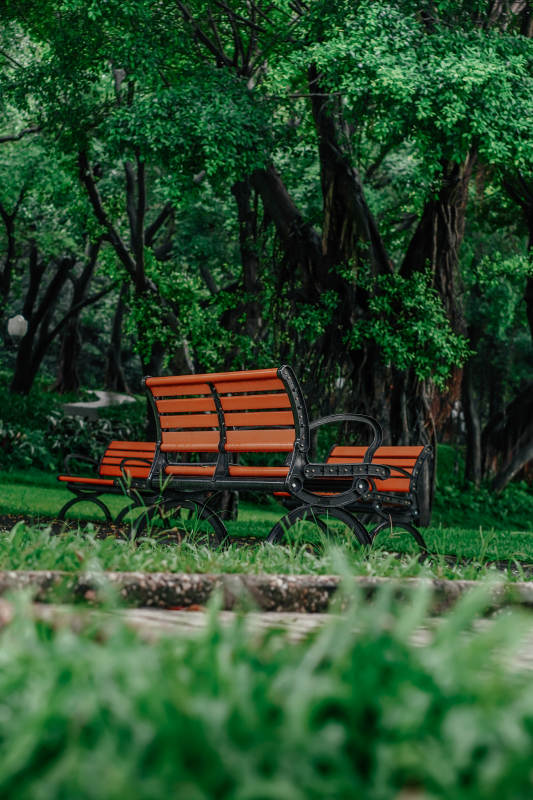 公园里的红色长椅图片