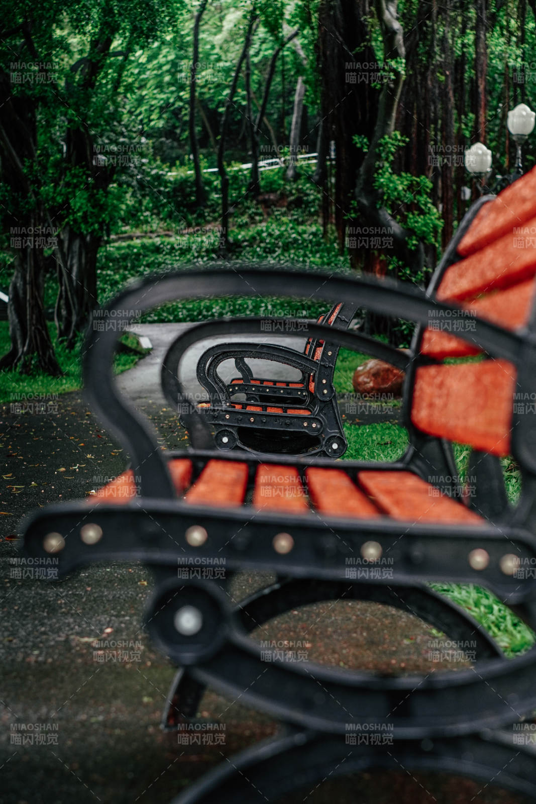 公园长椅与绿树成荫图片