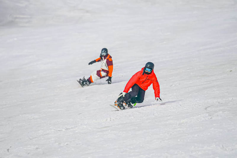 雪地双人滑雪竞技瞬间图片