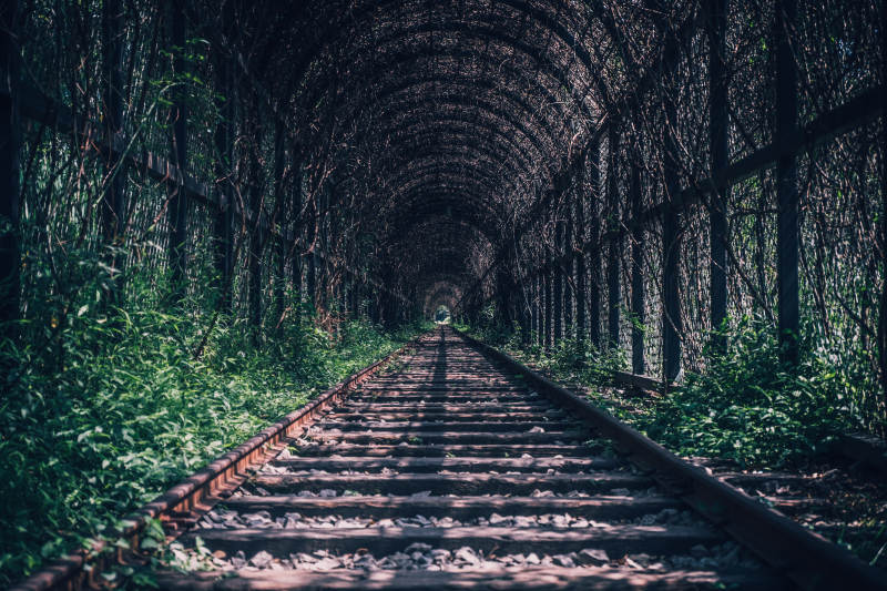 森林中的铁轨隧道图片