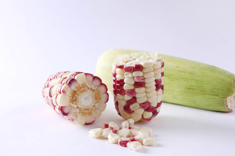 彩色玉米粒展示图图片