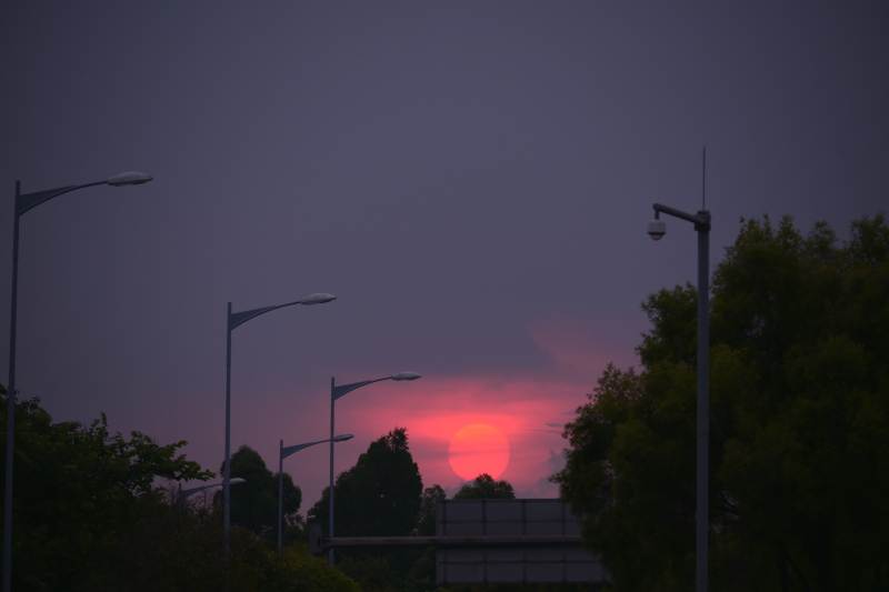 黄昏路灯下的宁静景象图片