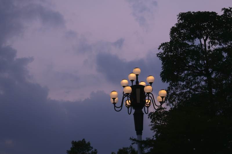 黄昏路灯下的宁静景象图片