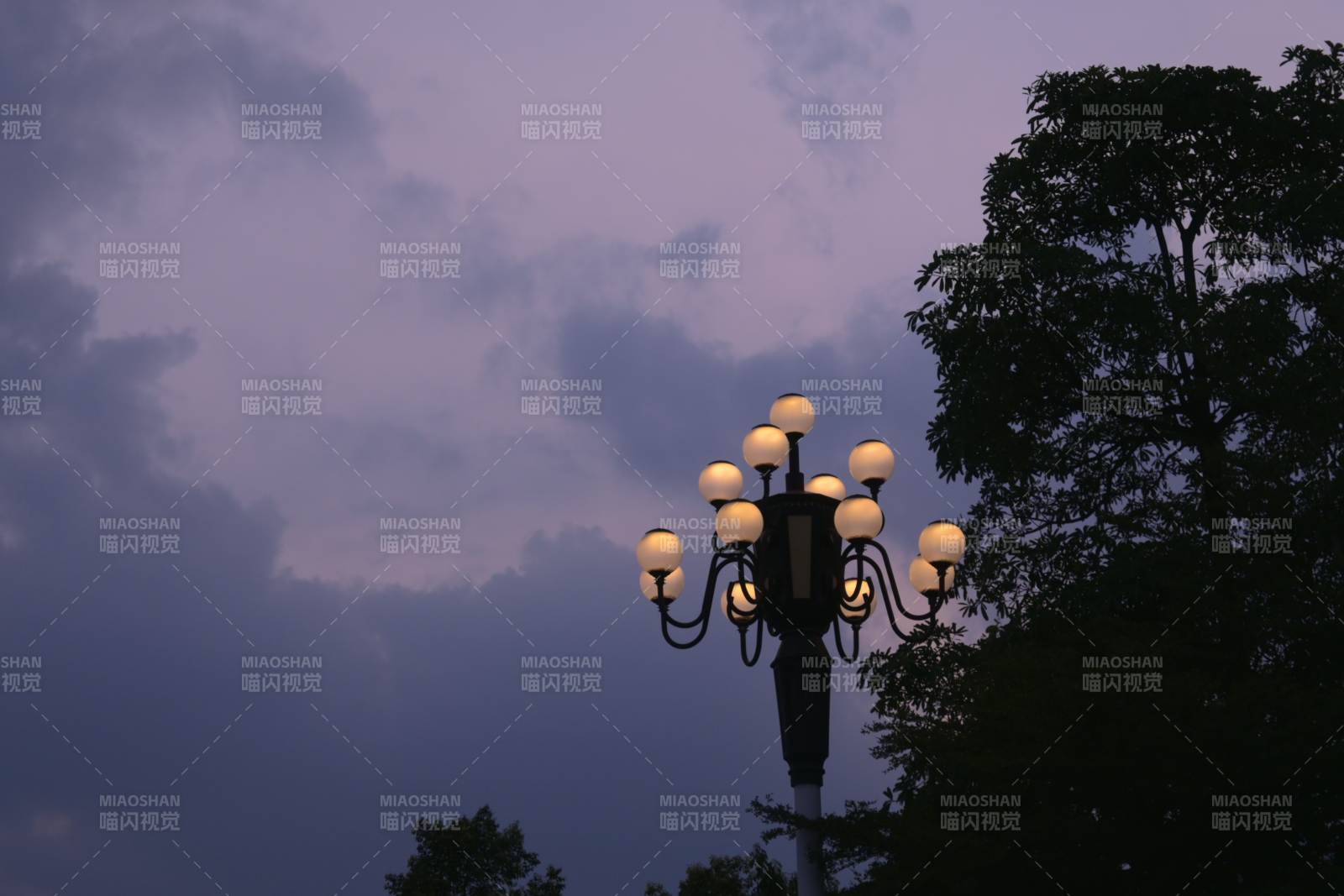 黄昏路灯下的宁静景象图片