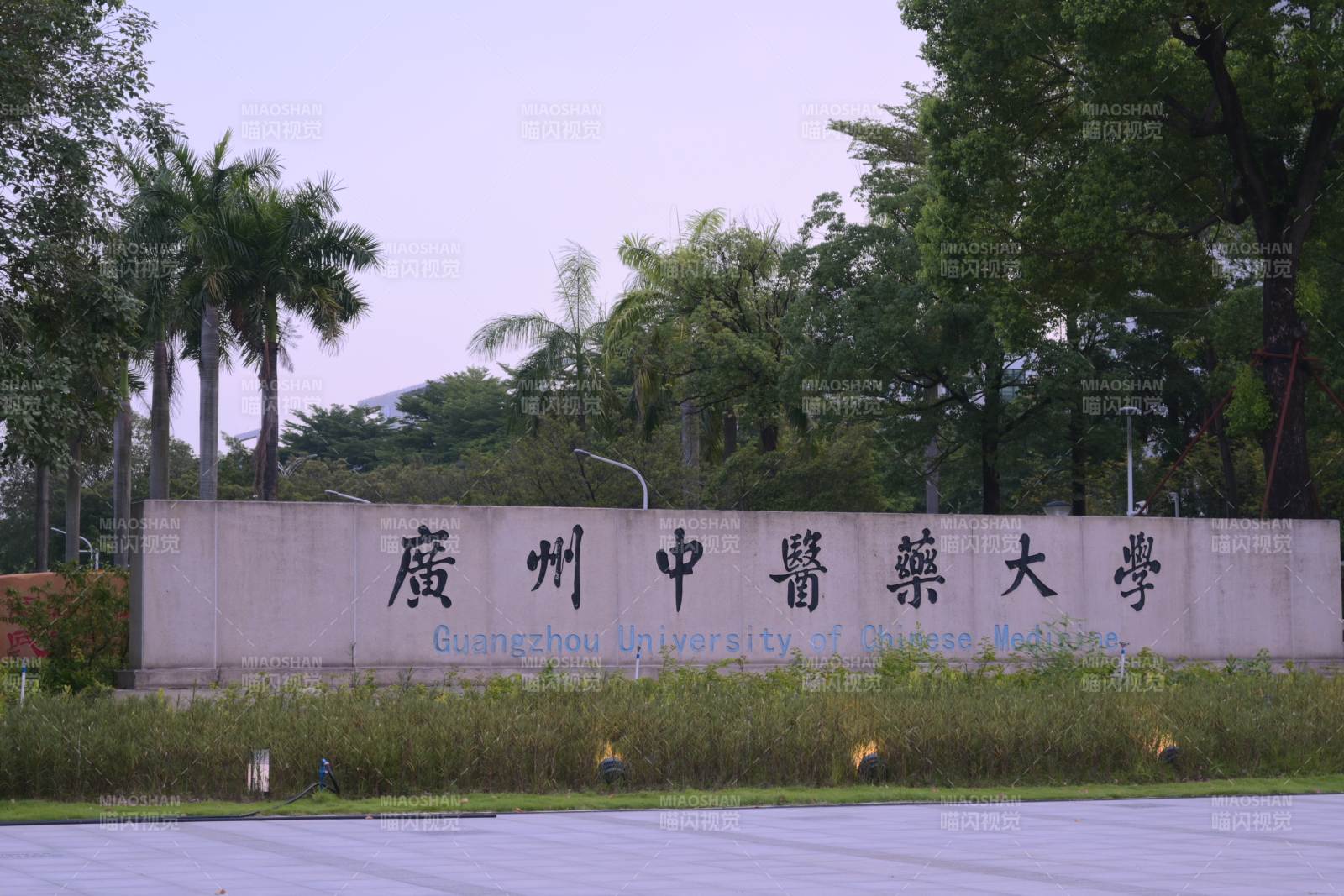 广州中医药大学校门图片