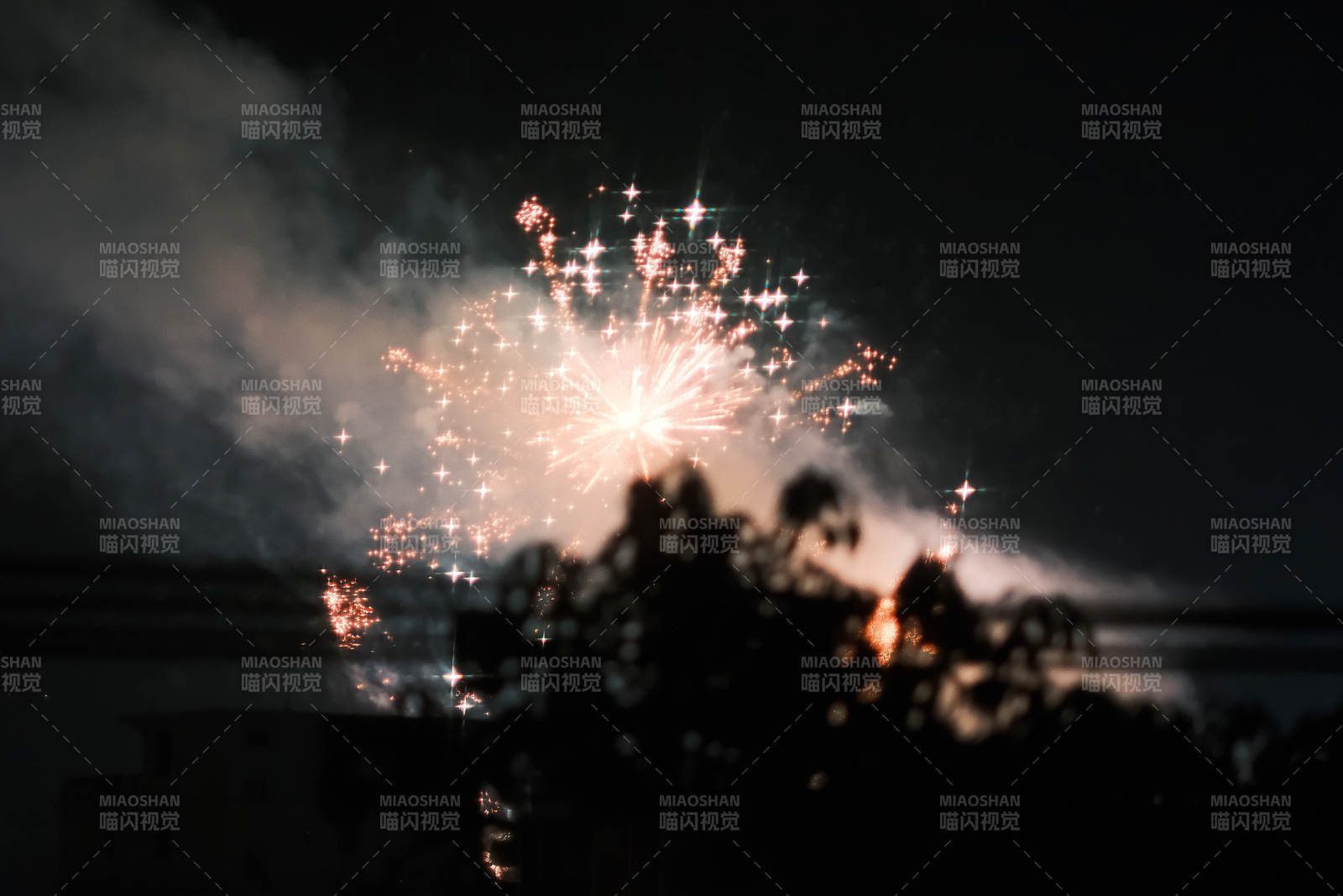 夜空中的烟花绽放图片