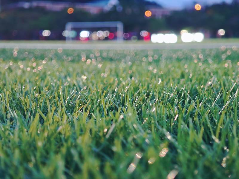 绿茵场上的夜色光影图片