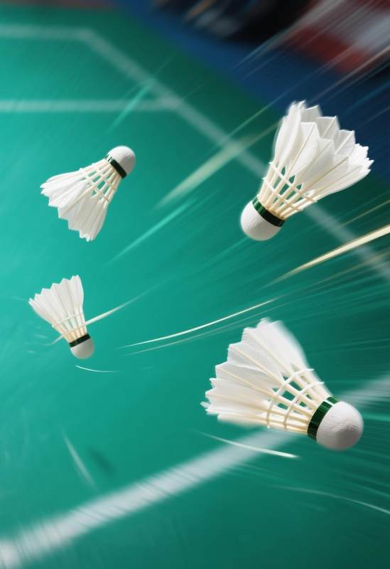 羽毛球飞行瞬间特写图片