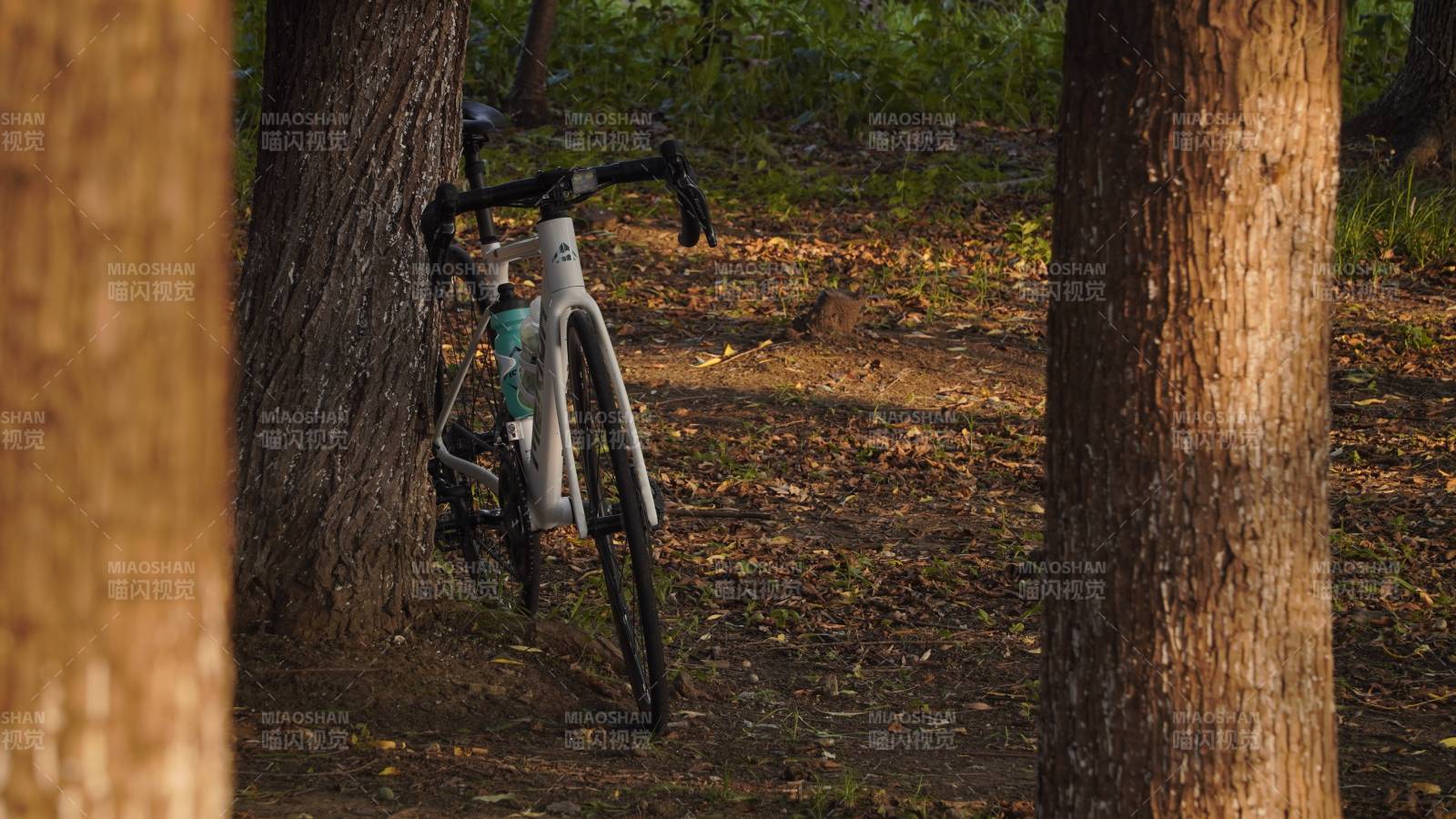 林间小径 单车静候图片
