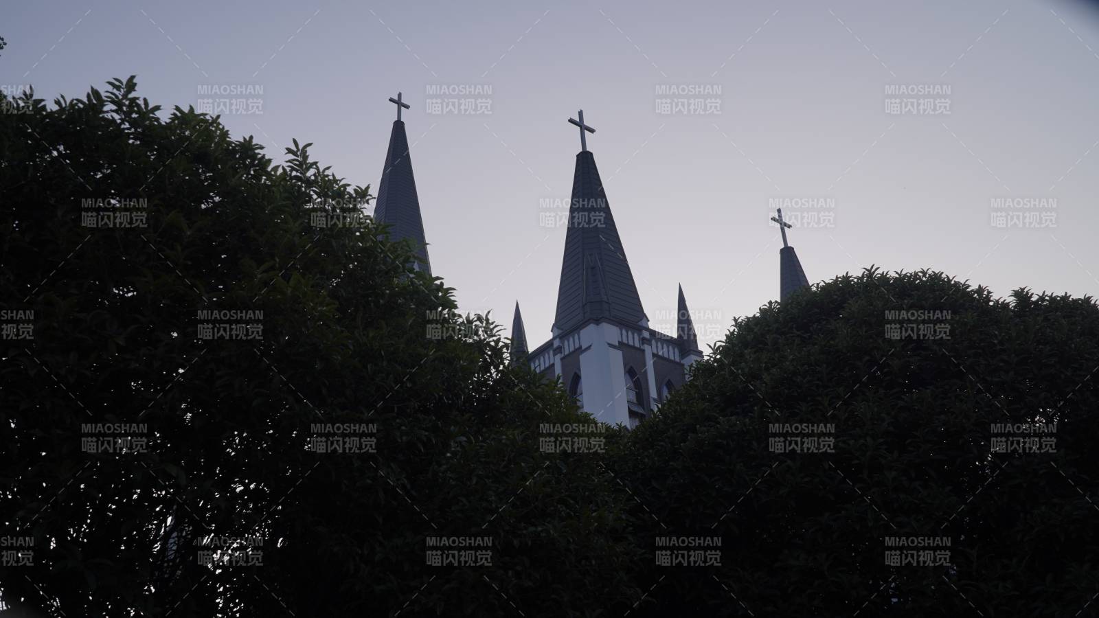 苏州教堂尖塔与树影相映成趣图片