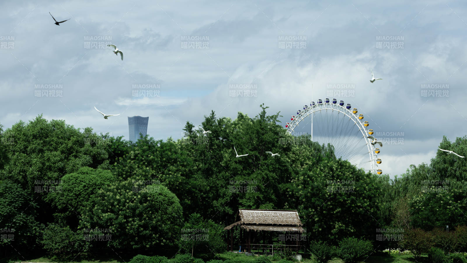 摩天轮与绿树相映成趣图片