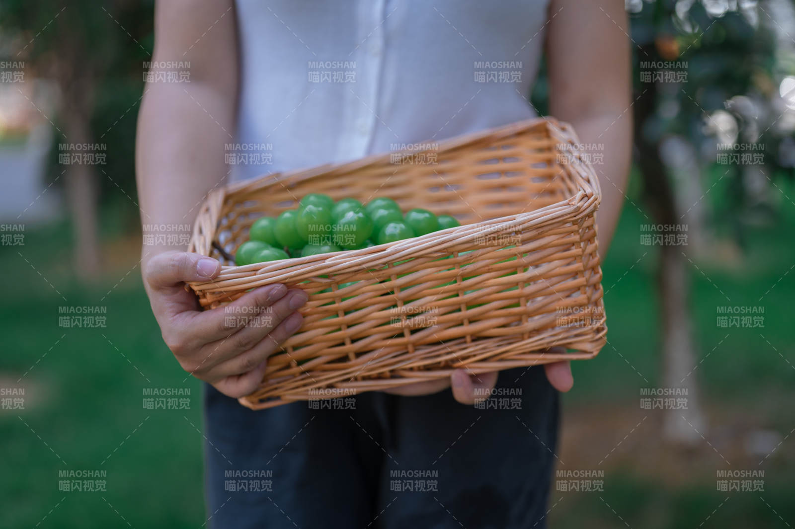 手捧竹篮装满青果图片