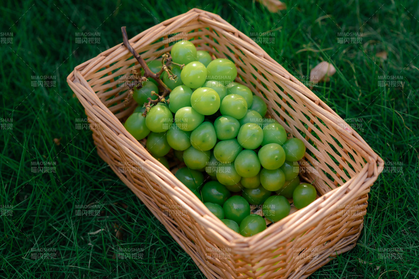 篮子里的青葡萄图片