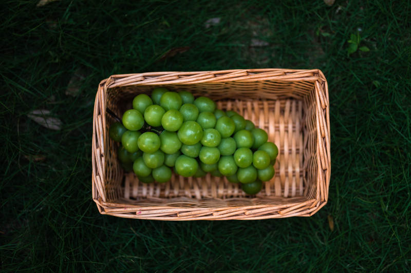 篮子里的青葡萄图片