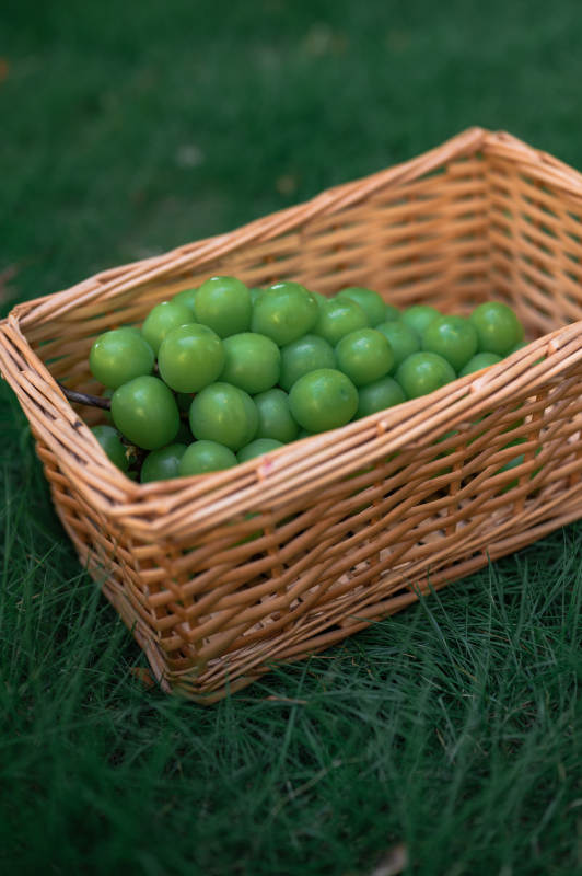 篮子里的青葡萄图片