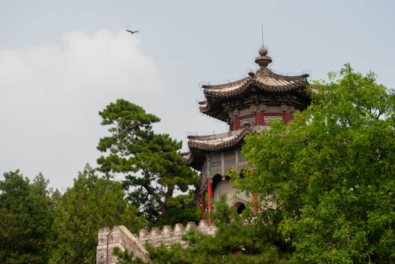 古塔绿树映蓝天图片