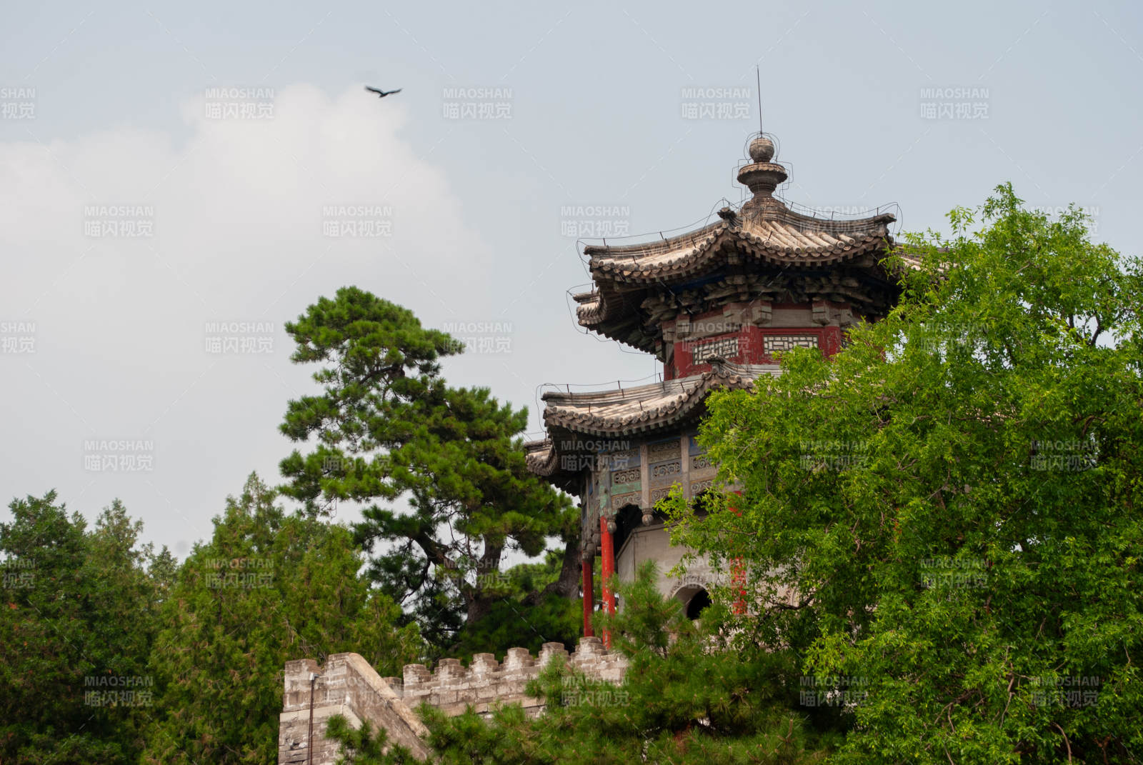 古塔绿树映蓝天图片