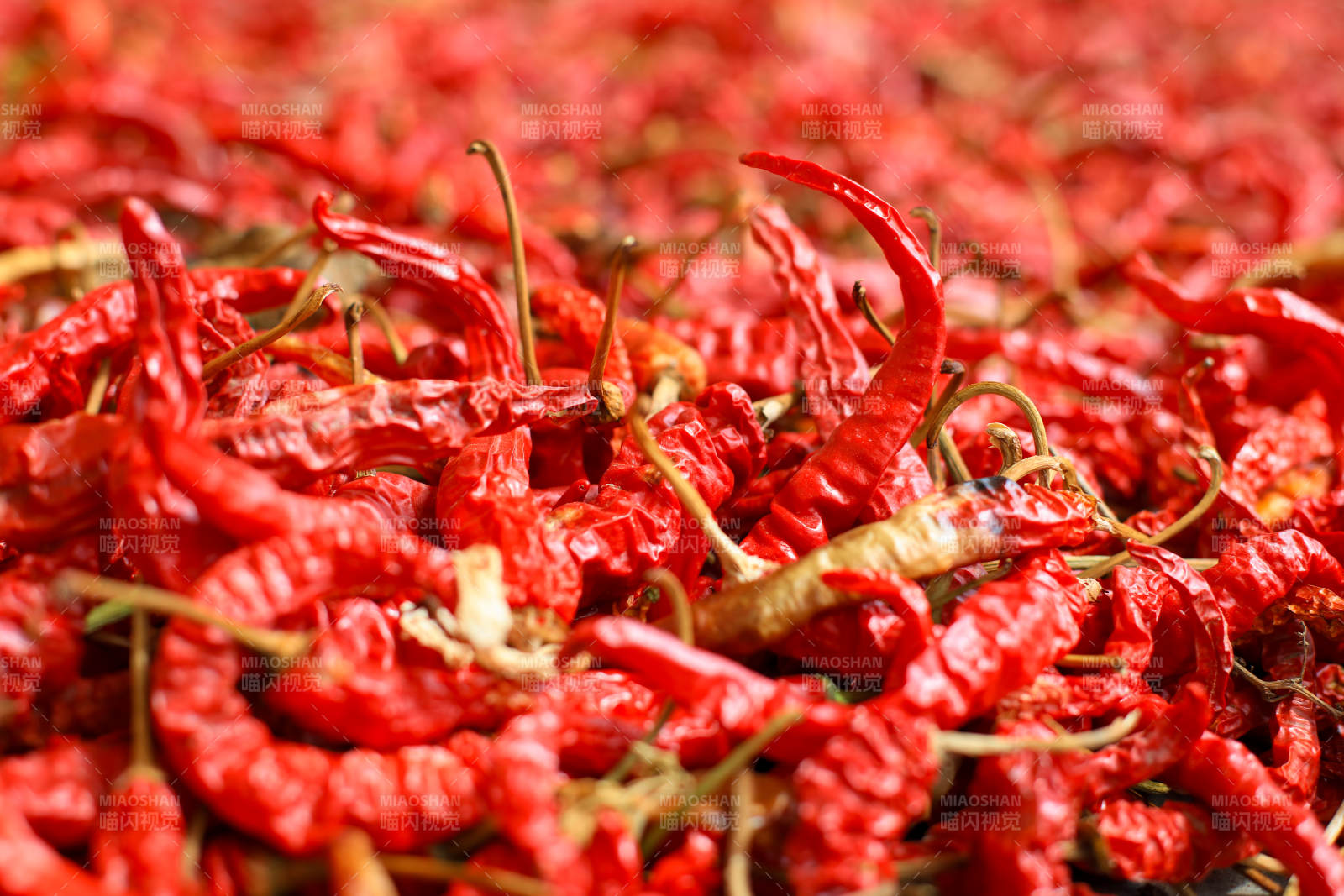 红辣椒堆叠特写·农家晾晒辣椒图片