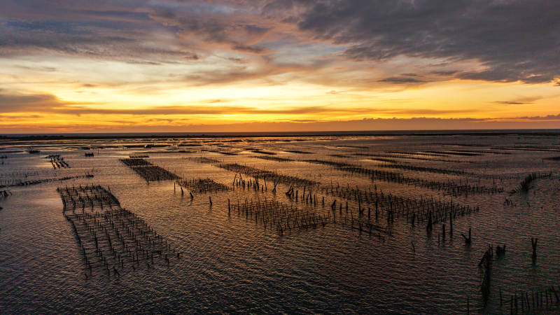 夕阳下的海面竹架风光图片