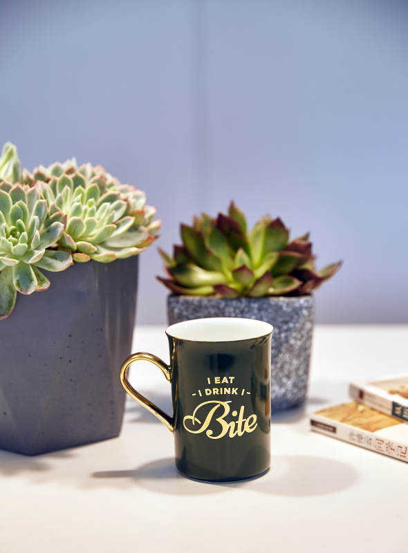 绿植与咖啡杯的静谧时光图片