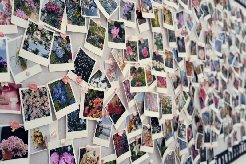 照片墙上的花卉记忆图片
