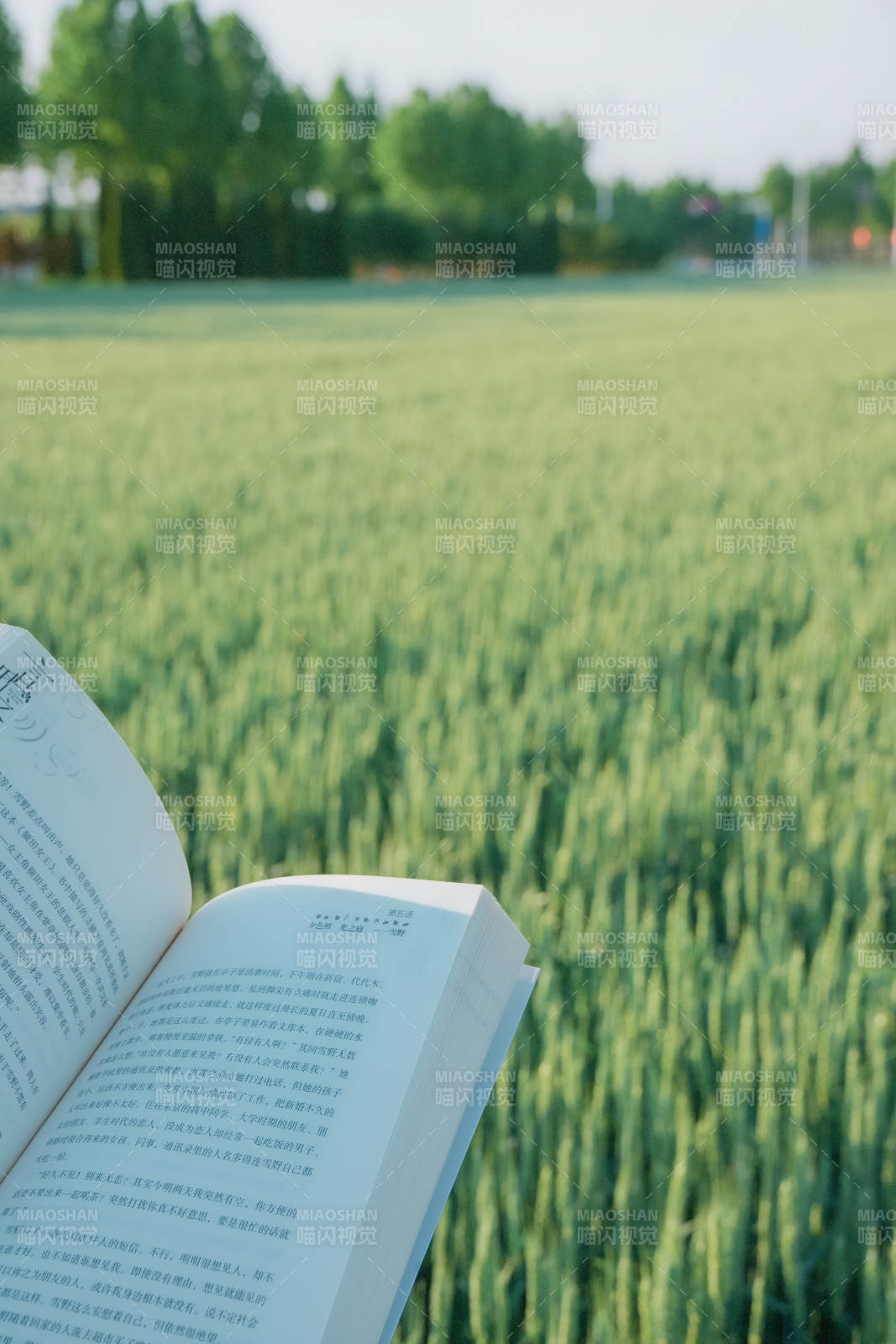 田野书香 静谧时光图片