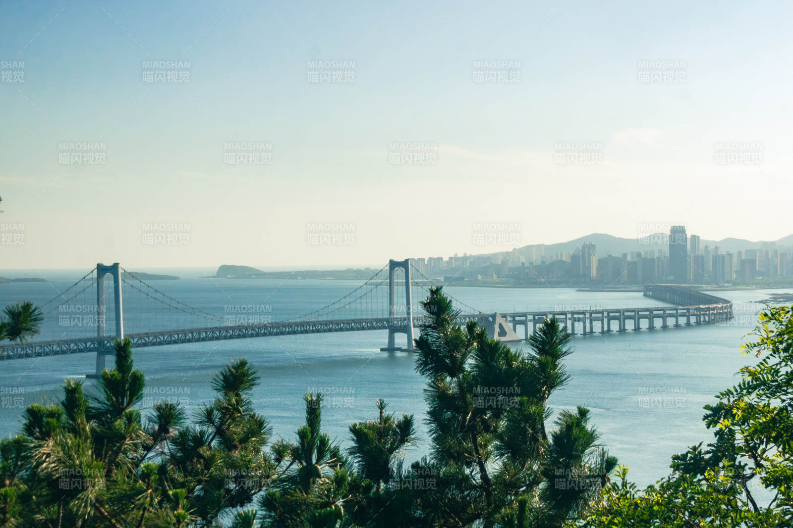 大连星海湾大桥跨海大桥与城市风光图片