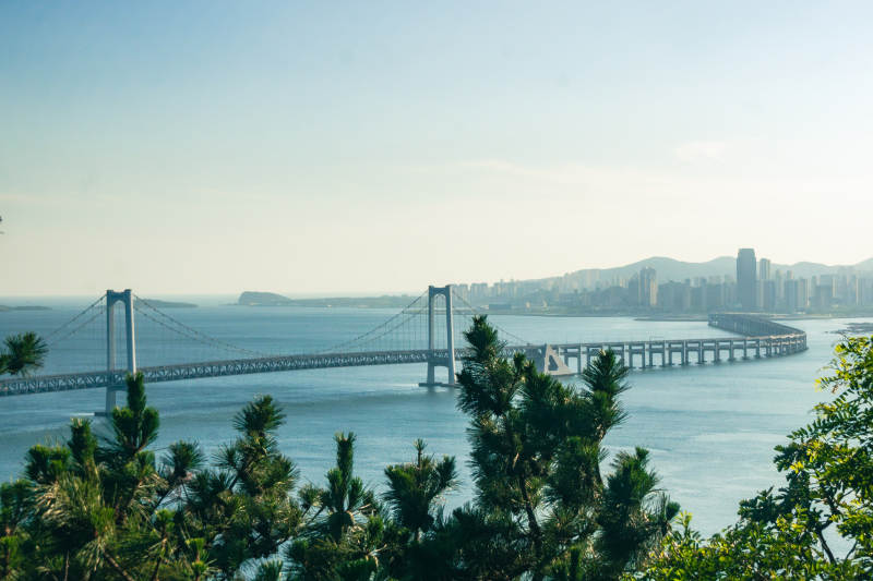 大连星海湾大桥跨海大桥与城市风光图片