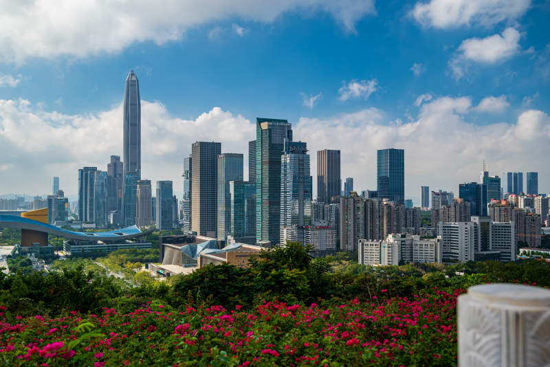 深圳莲花山山顶城市风光图片