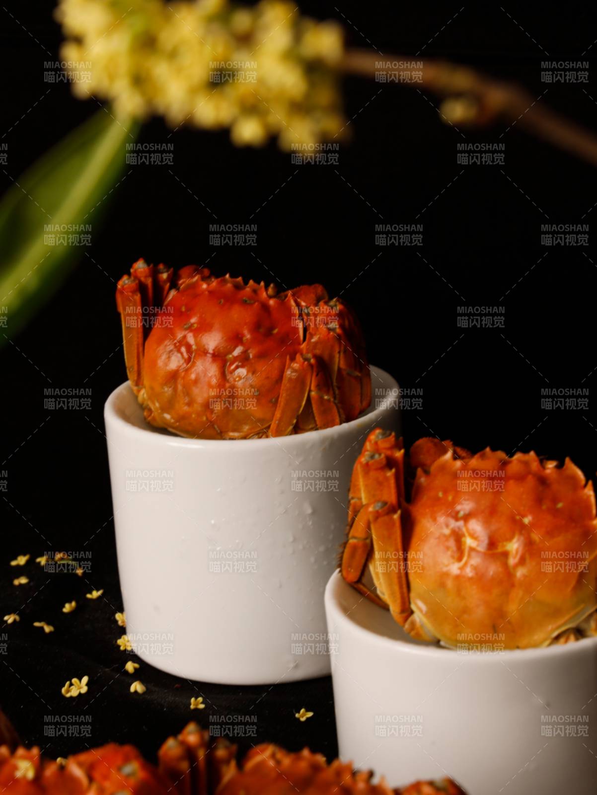 蒸蟹美食 秋日佳肴图片