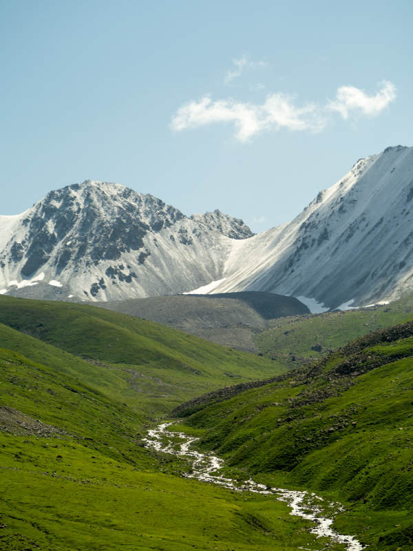 雪山绿谷溪流潺潺 独库公路上的美景图片