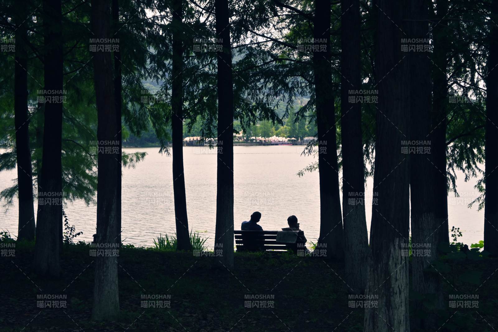 湖畔树影下的静谧时光图片