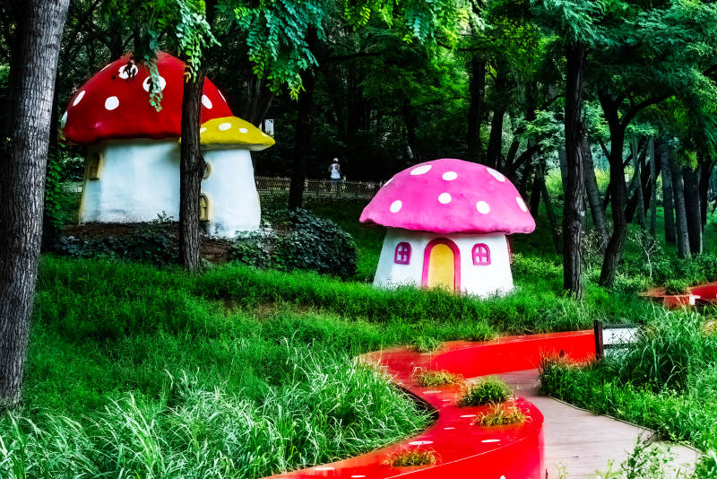 蘑菇屋森林小径图片