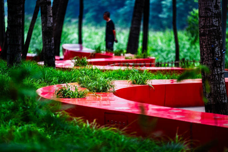 林间红色圆环装置艺术图片