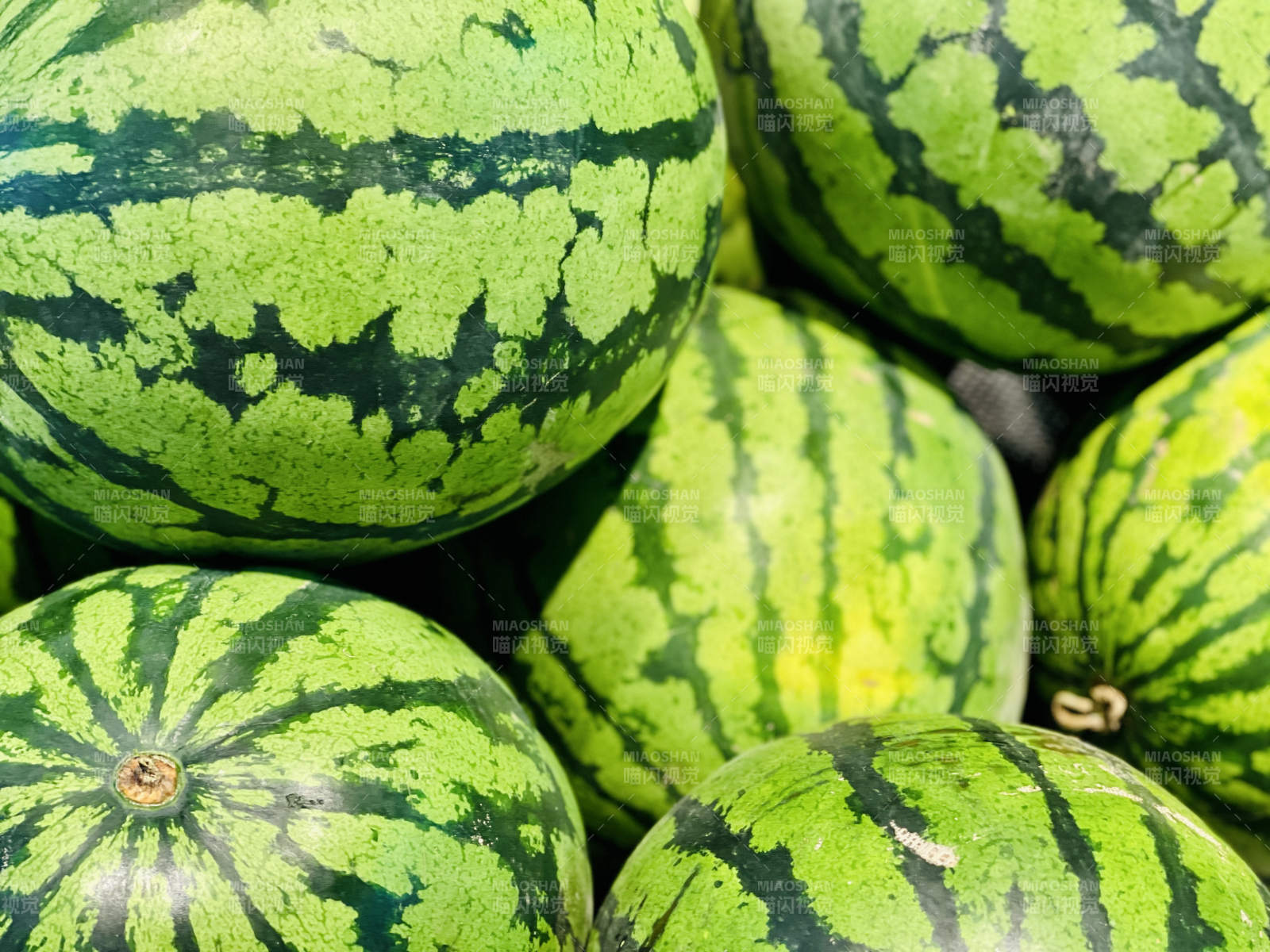 夏日清凉西瓜堆图片