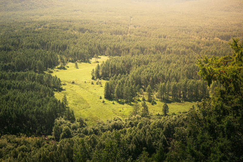 森林山谷的宁静美景图片