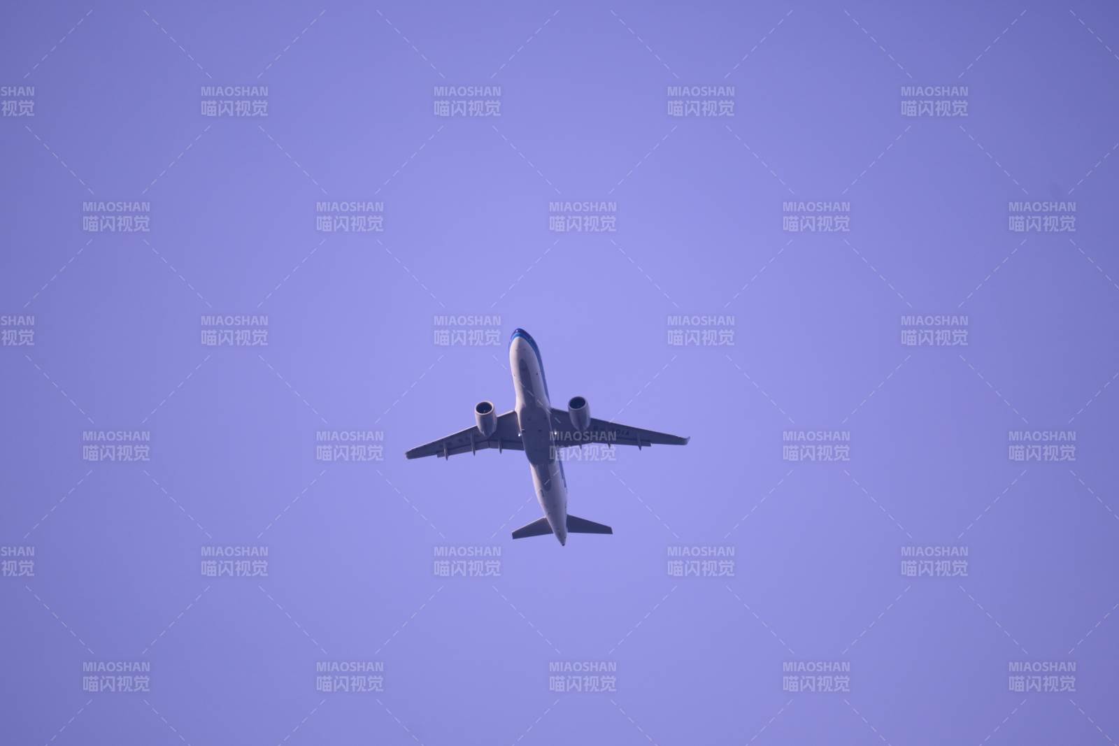 蓝天下的飞行瞬间图片