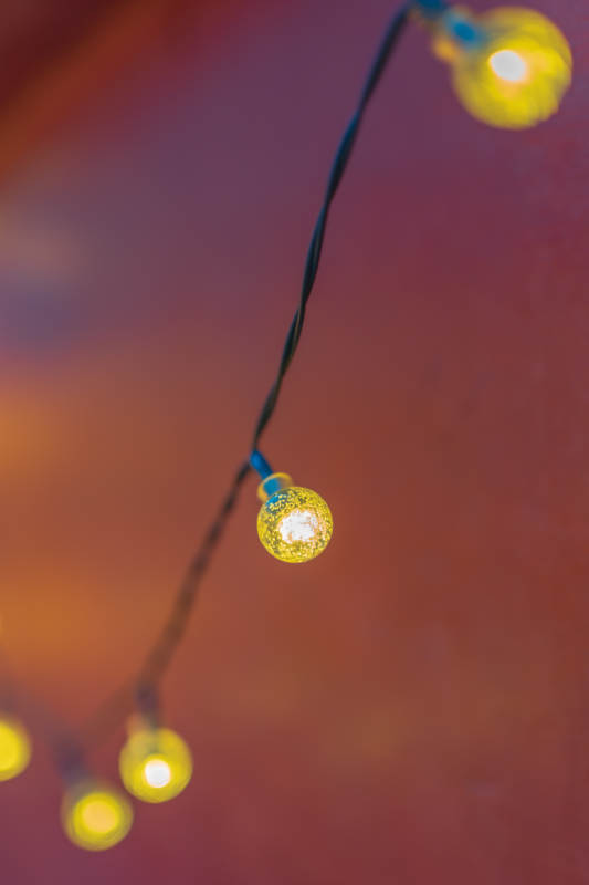 温暖的节日灯串图片