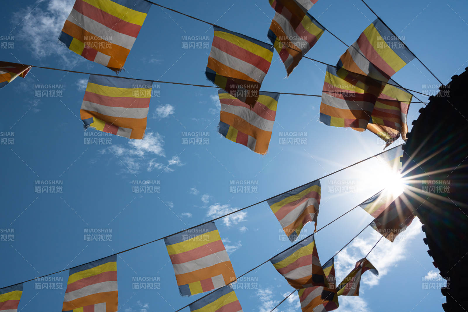 佛旗飘扬 阳光明媚图片