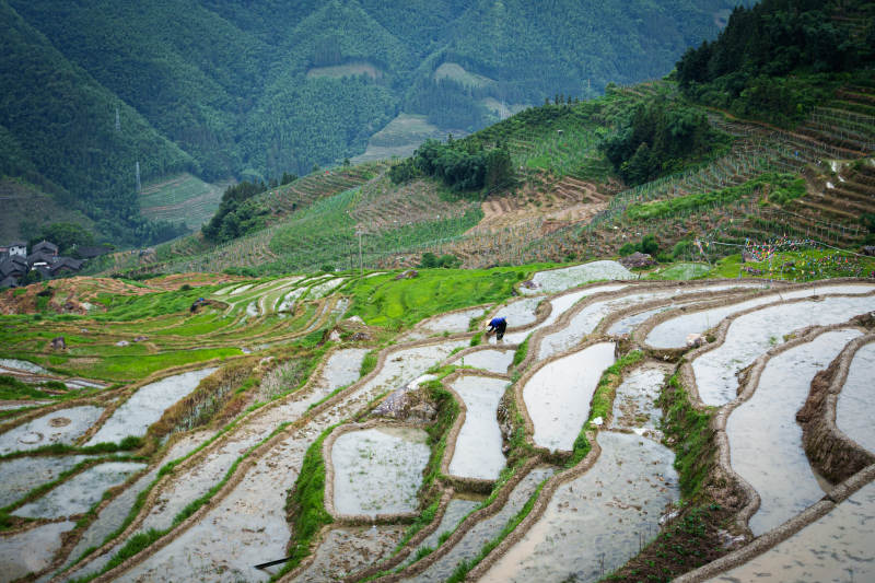 梯田劳作 青山环绕--桂林龙脊梯田图片