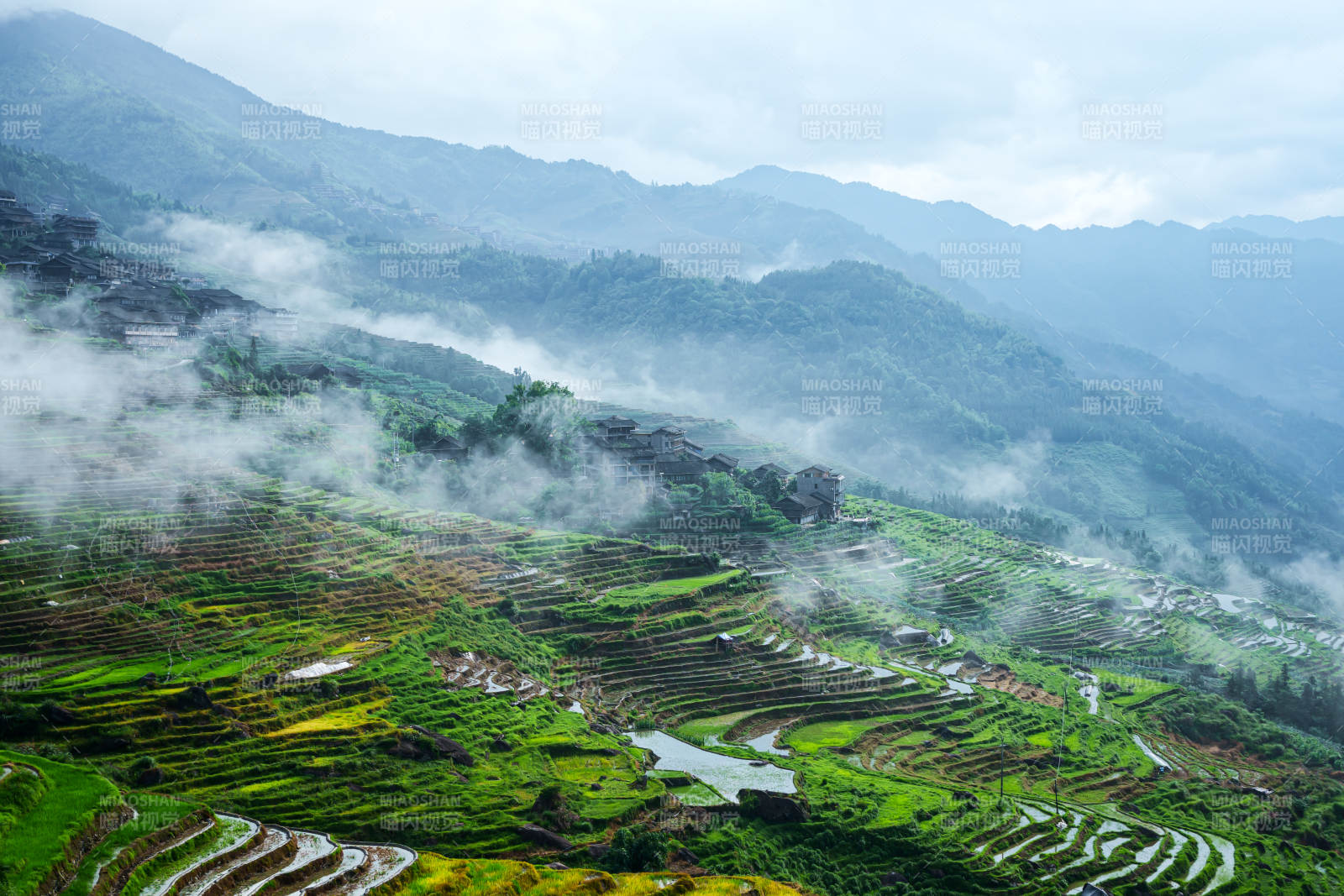 云雾缭绕的梯田风光--桂林龙脊梯田图片